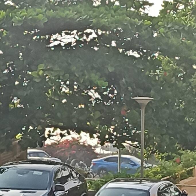 Ferienwohnung Cozy Private Ac Studio By The Sea Bandstand Bandra W Mumbai Nr Taj Lands End Exterior foto