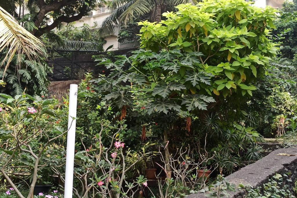 Ferienwohnung Cozy Private Ac Studio By The Sea Bandstand Bandra W Mumbai Nr Taj Lands End Exterior foto